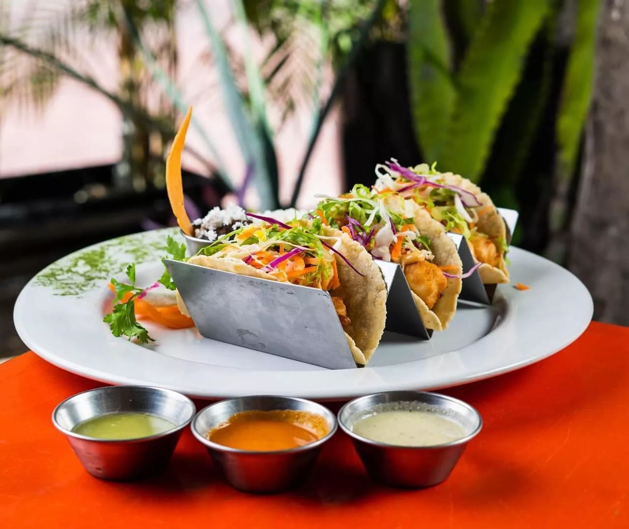 Paella española tradicional